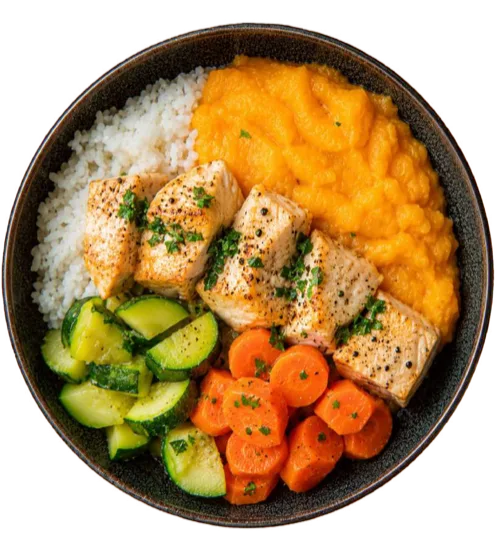 Bowl con pescado, arroz, puré de zapallo, zanahoria y zucchini