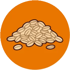 Avena