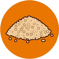 Quinoa
